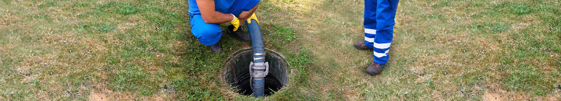 Fency Cleaning